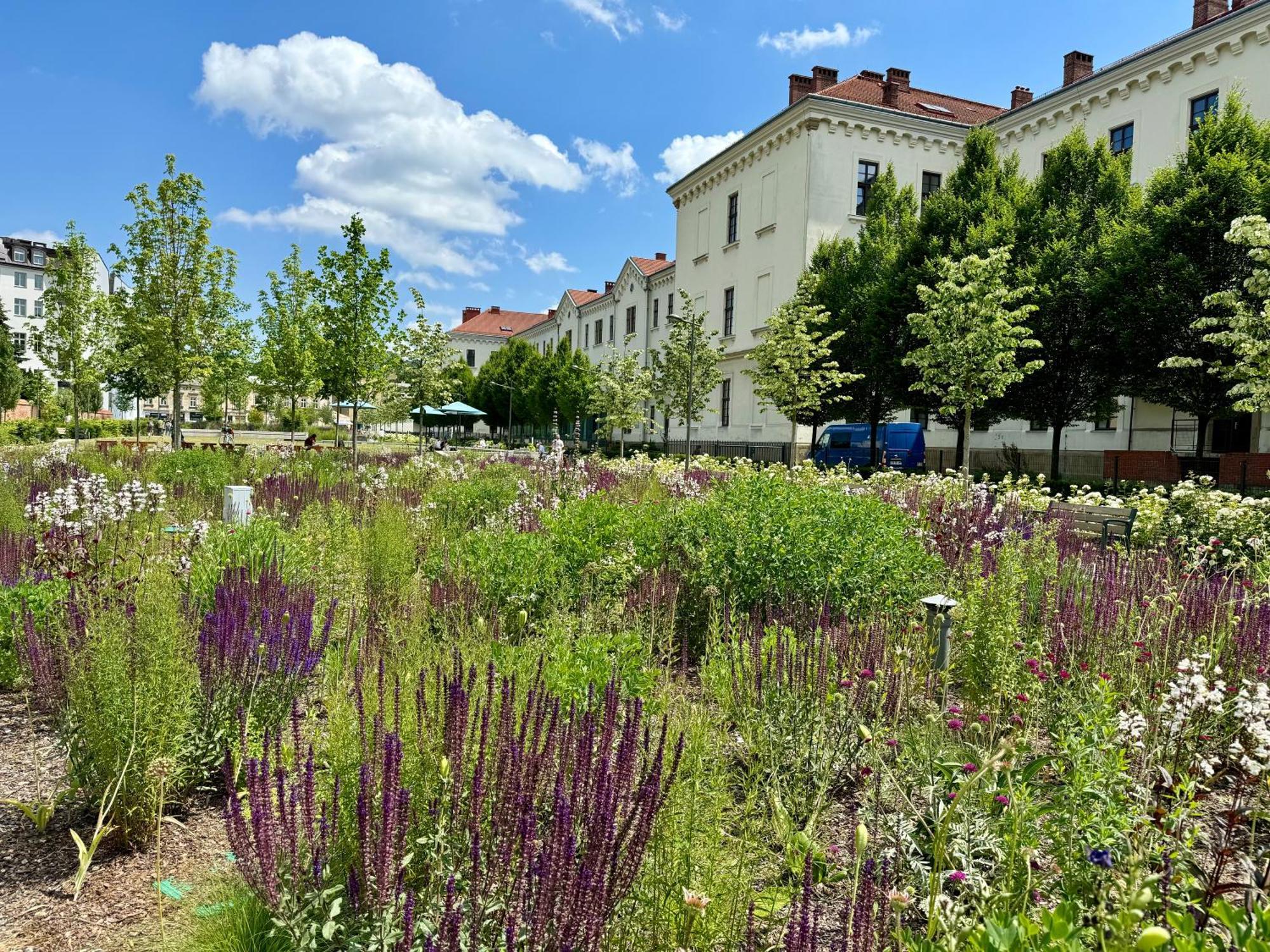 Gio Apartments, Luxury, Old Town Cracow Krakow Exterior photo